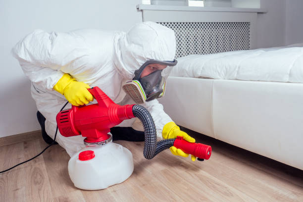 Best Pest Control for Hotels  in East Sparta, OH